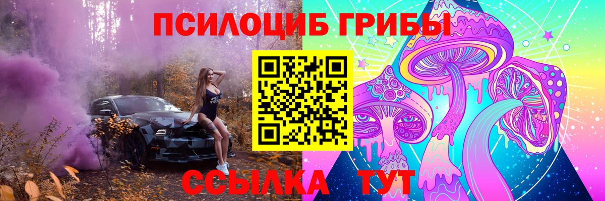 Псилоцибиновые грибы мицелий Егорьевск