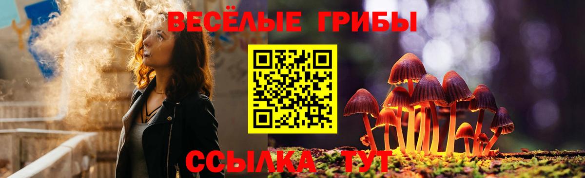 Егорьевск  Псилоцибиновые грибы мухоморы  Вход с VPN 